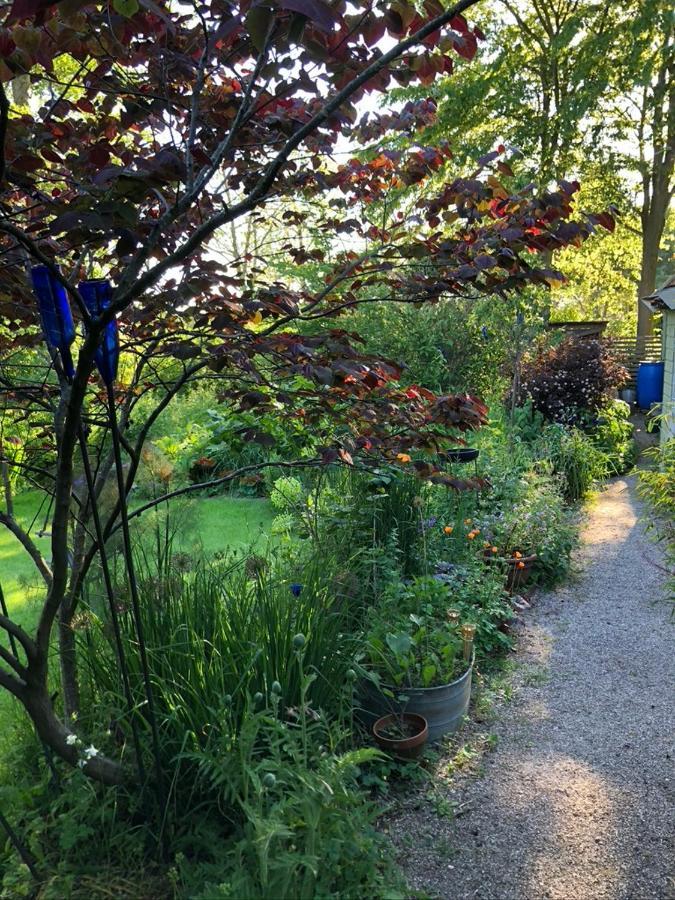 Bed and Breakfast Beemster Tiny House Zuidoostbeemster Esterno foto