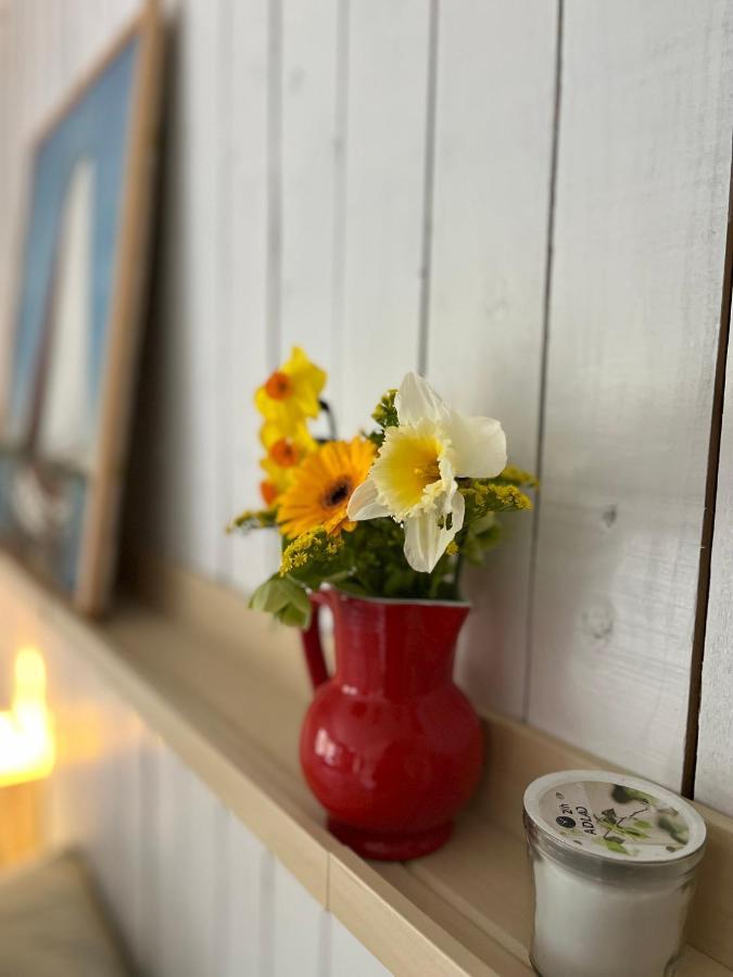 Bed and Breakfast Beemster Tiny House Zuidoostbeemster Esterno foto